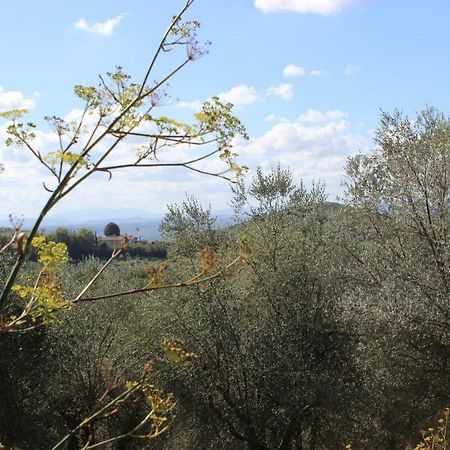 בארברינו די ואל ד'אלסה Country House Il Covo Della Civetta מראה חיצוני תמונה