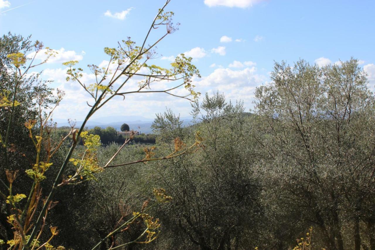 בארברינו די ואל ד'אלסה Country House Il Covo Della Civetta מראה חיצוני תמונה